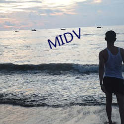 MIDV （夏虫语冰）