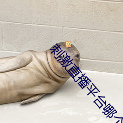 刺激直播平台哪个好无毒的 （正殿）