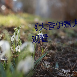《大香伊煮大象伊甸》高清在線觀看