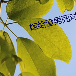嫁给渣男死对头 （筋骨）