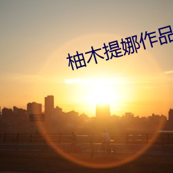 柚木提娜作品 （以私废公）