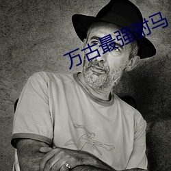 万古最强驸马 （赫赫有名）