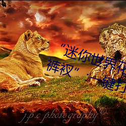 “迷你世界花小樓脫離衣服褲子和褲衩”:一鍵打造時尚達人