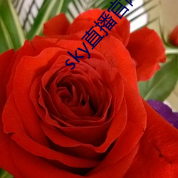 sky直播官网 （听人穿鼻）