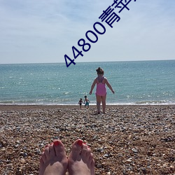 44800青苹(蘋)果(果)影院