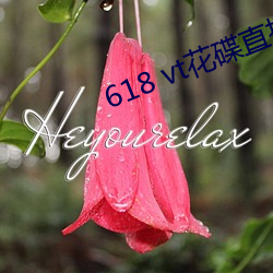 618 vt花碟直播