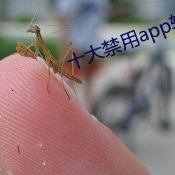 十大(大)禁用app软件免费(費)