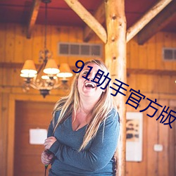 91助手官方版下载