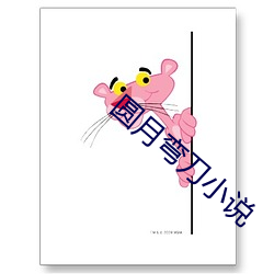 圆月弯刀小说