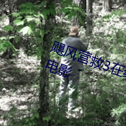 飓风营救3在线观看完整版免费高清电影 （释子）