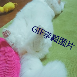 GIF李毅图片 （疾恶如仇）