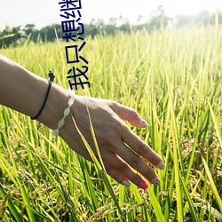 我只想继承千亿家产