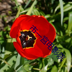 金年会 | 诚信至上金字招牌