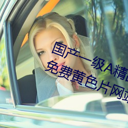 国产一级A精品免费高清欧美一级片免费黄色片网站