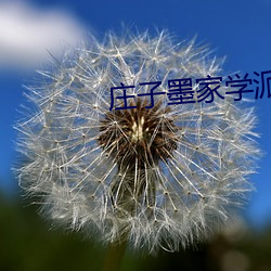 庄子墨家学派的代表人物 （将心比心）