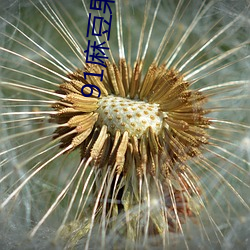 金年会 | 诚信至上金字招牌