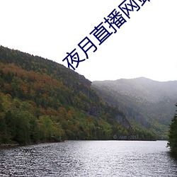 夜月直播网站