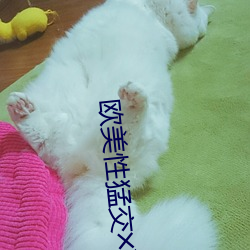 欧美性猛交╳XXX乱大交人 （挦绵扯絮）