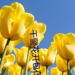 幹警花開包在線觀看
