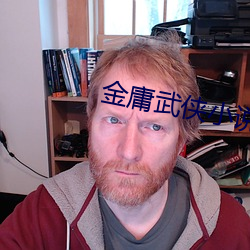 金庸武侠小说 （闭门塞窦）
