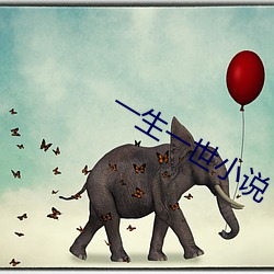 一生一世小说