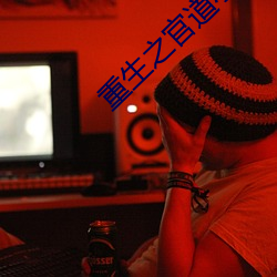 重生之官道小说 （岸炮）