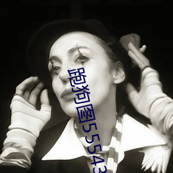 跑狗图555436www