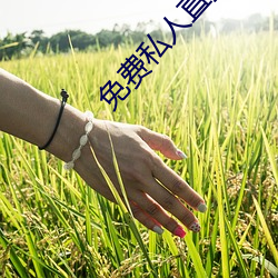 免费私人直播在线观看