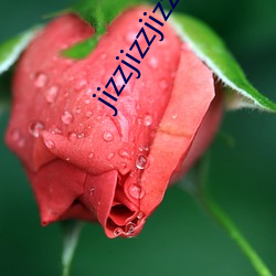 jizzjizzjizz护士
