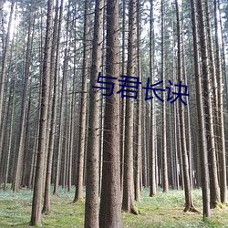 与(yǔ)君长诀