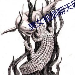 美(měi)女视频聊天网站