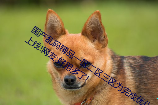 國産亂碼精品一區二區三區爲完成優化上線!網友:好用多了!