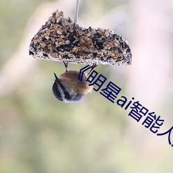 《明星ai智能人臉替換造夢》