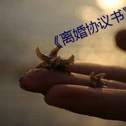 《离(離)婚协议书(書)》免费(費)下载