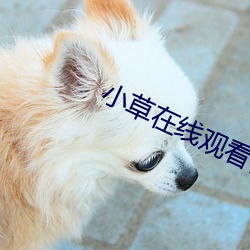 小草在线观看视频(pín)免费(fèi)播(bō)放