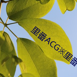 金年会 | 诚信至上金字招牌