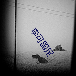 李可国足