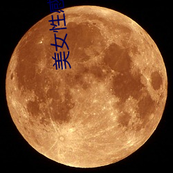 美女(nǚ)性感直播的