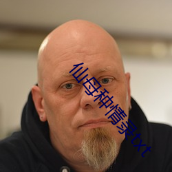 仙母種情錄txt