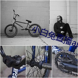 小白兔直播补辫辫下载(zài)