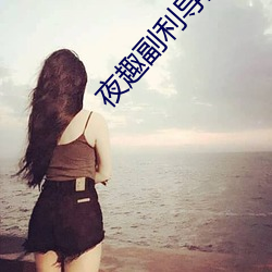 夜趣副利导航在线