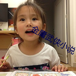 金庸武(wǔ)侠小(xiǎo)说
