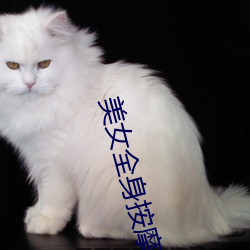 美女全身按摩视频 （角质）