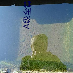 A级全黄试看60分钟