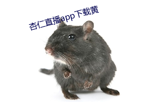 杏仁直播app下載黃