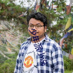少年派小说