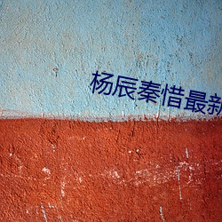 杨(yáng)辰秦惜最新更新