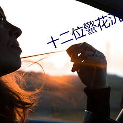 十二位警花沉沦堕落