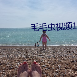 毛毛虫视频12入口