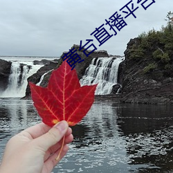 黄(黃)台直(直)播(播)平台下(下)载(載)